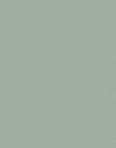 Fita de Borda - Mint Fosco - Duratex